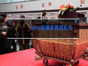 boru是哪家舞蹈机构