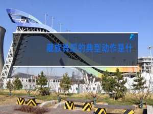 藏族舞蹈的典型动作是什么