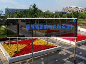藏族舞蹈的特色特点是什么