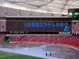 b站舞蹈区为什么叫窑子区