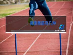 藏族舞蹈有几种