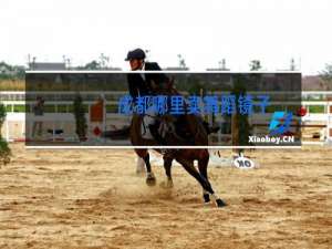 成都哪里卖舞蹈镜子