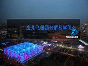 虫儿飞舞蹈分解教学怎么写