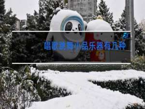 唱歌跳舞小品乐器有几种排法