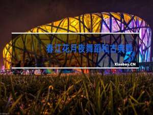 春江花月夜舞蹈和古典舞有什么区别
