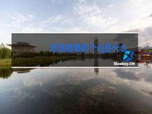 吃鸡跳舞那个dj是什么