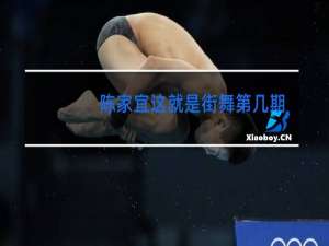 陈家宜这就是街舞第几期