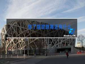 除了唱歌跳舞还有什么才艺表演