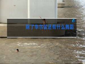 除了华尔兹还有什么舞蹈