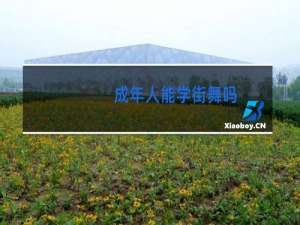 成年人能学街舞吗