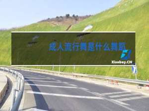 成人流行舞是什么舞蹈