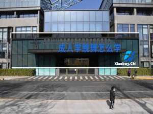成人学跳舞怎么学