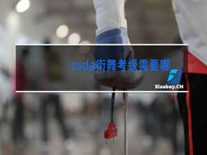 csda街舞考级需要哪些资料