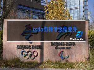 csda街舞考级需要身份证吗