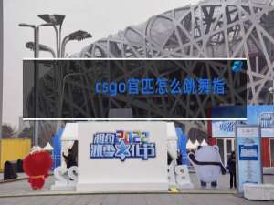 csgo官匹怎么跳舞指令