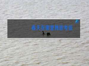 春天在哪里舞蹈考级