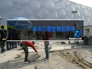 春天在哪里舞蹈情感