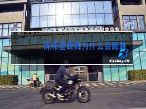 陈伟霆跳舞为什么会胸跳