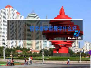 初学者学街舞学什么好