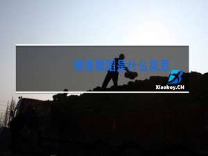 婵意舞蹈是什么意思