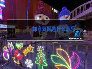 婵意舞蹈是什么意思