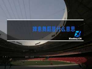 婵意舞蹈是什么意思