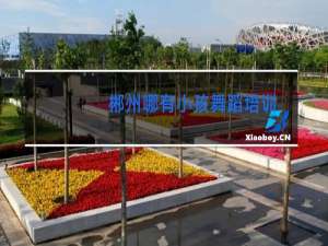 郴州哪有小孩舞蹈培训