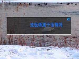 地板舞属于街舞吗