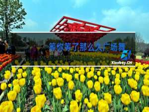 等你等了那么久广场舞