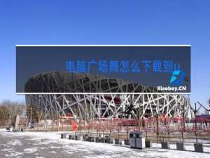 电脑广场舞怎么下载到u盘