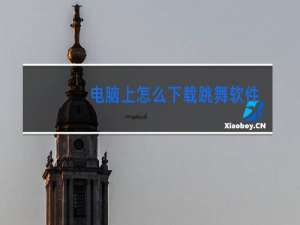 电脑上怎么下载跳舞软件