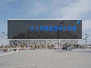 大人学舞蹈要多少学费