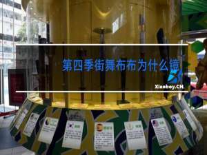 第四季街舞布布为什么镜头少