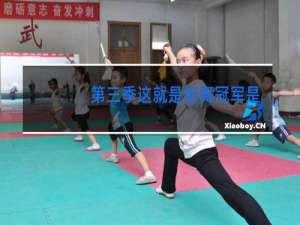 第三季这就是街舞冠军是谁
