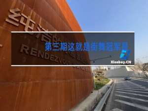 第三期这就是街舞冠军是谁