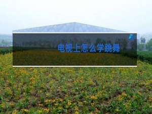 电视上怎么学跳舞