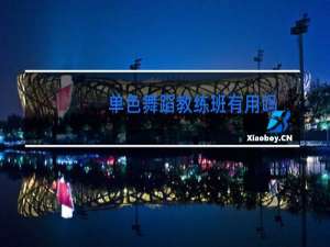 单色舞蹈教练班有用吗