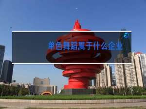 单色舞蹈属于什么企业
