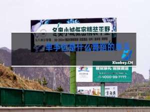 单手位是什么舞蹈的单手位