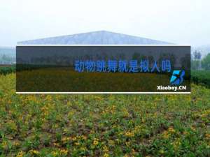 动物跳舞就是拟人吗