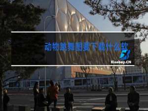 动物跳舞图要下载什么软件