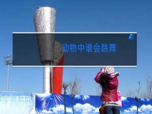 动物中谁会跳舞