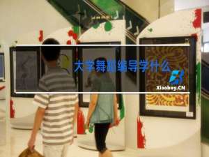 大学舞蹈编导学什么