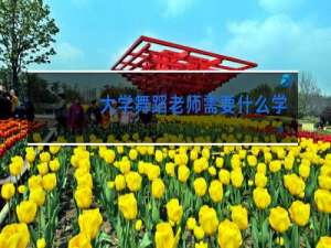 大学舞蹈老师需要什么学历