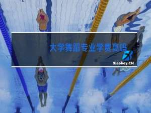 大学舞蹈专业学费高吗