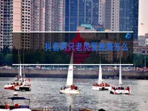 抖音两只老虎爱跳舞怎么跳教程