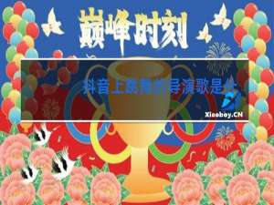 抖音上跳舞的导演歌是什么