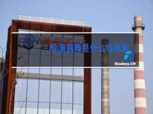 导演跳舞是什么电视剧