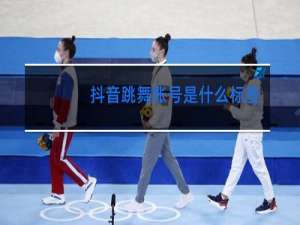 抖音跳舞账号是什么标签