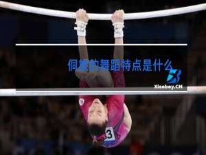 侗族的舞蹈特点是什么